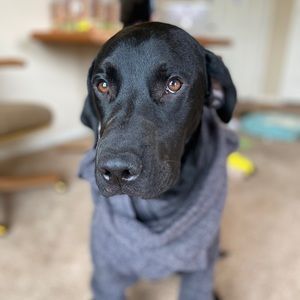 Meet your Posher, Meghan